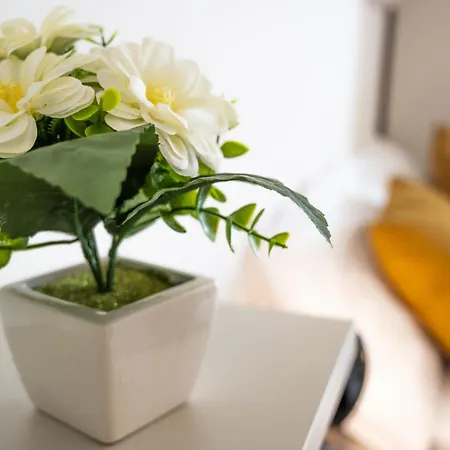 Easylife - A 2 Passi Dal Mare *